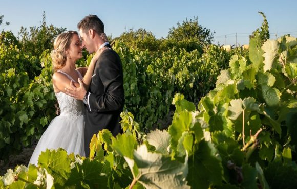 The charms of a winery as a D-day setting
